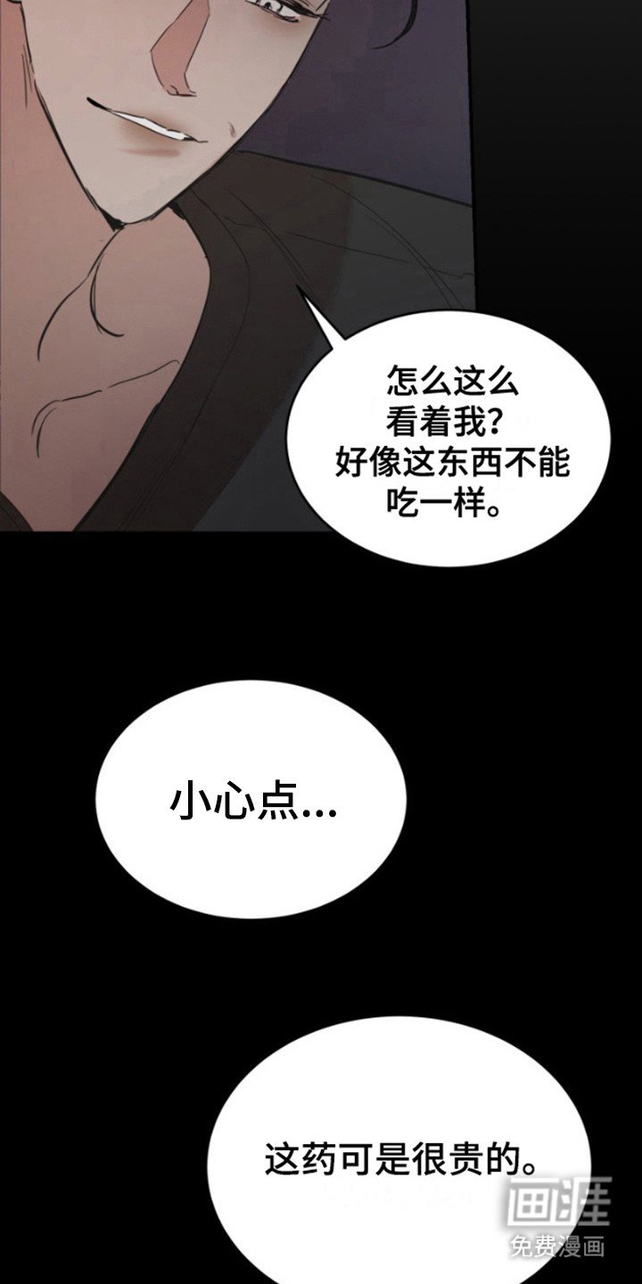 第11章：物以类聚