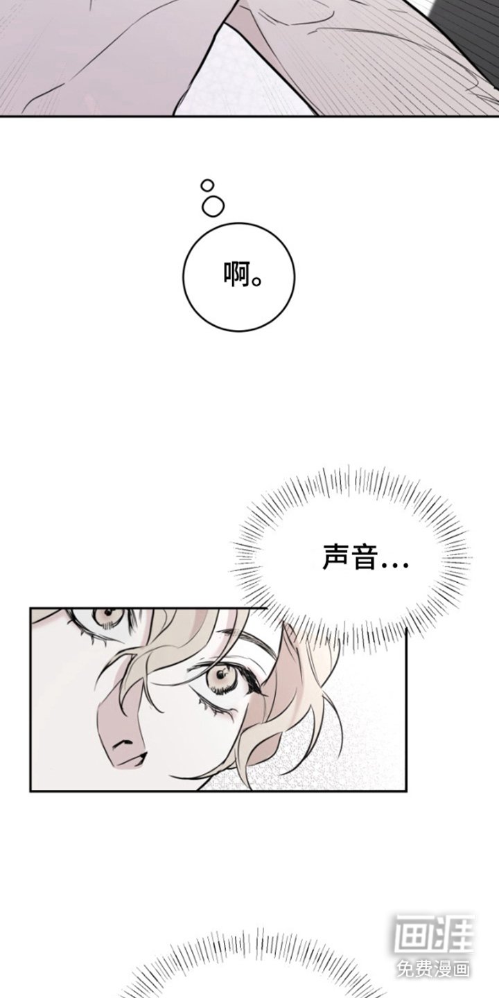 第2章：摄影师