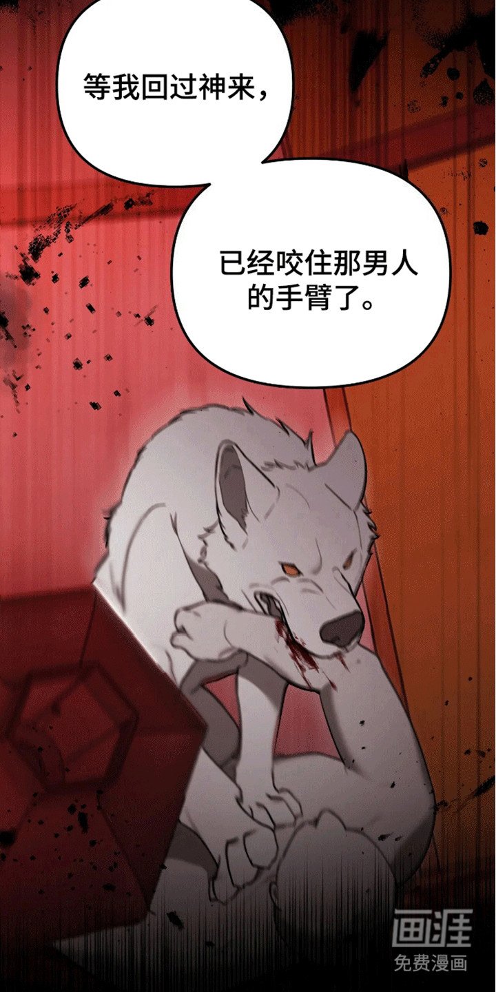第10章：愿望