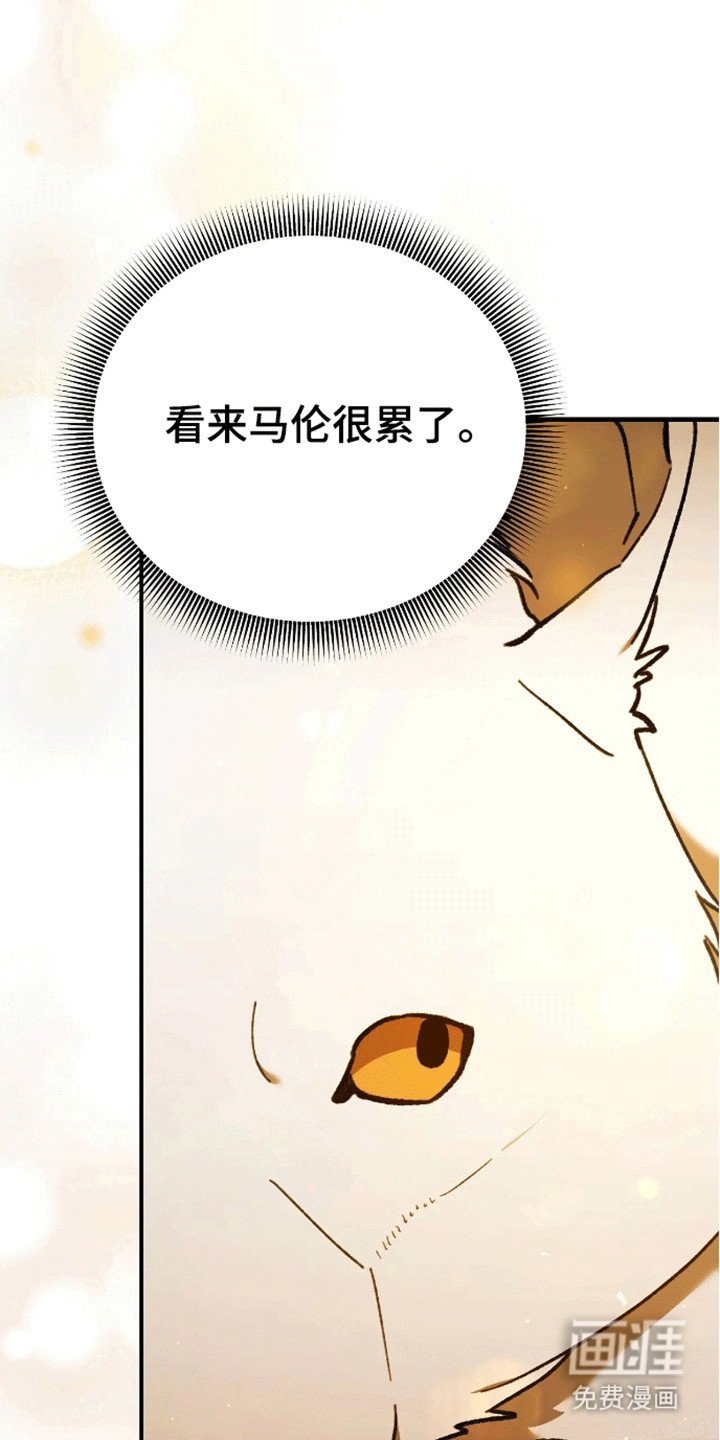 第13章：遇袭