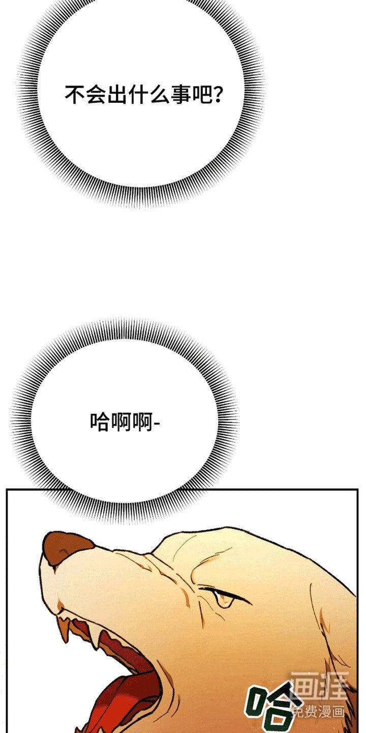 第13章：遇袭