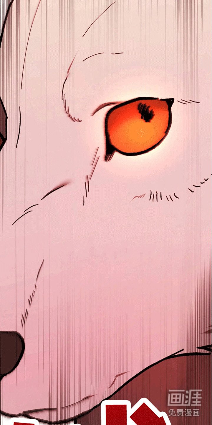 第13章：遇袭