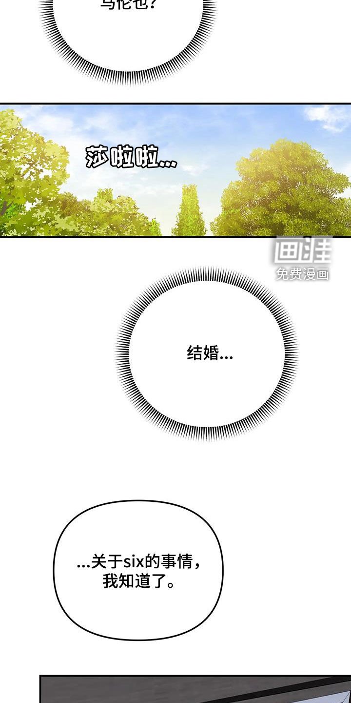 第26章：玛丽娜