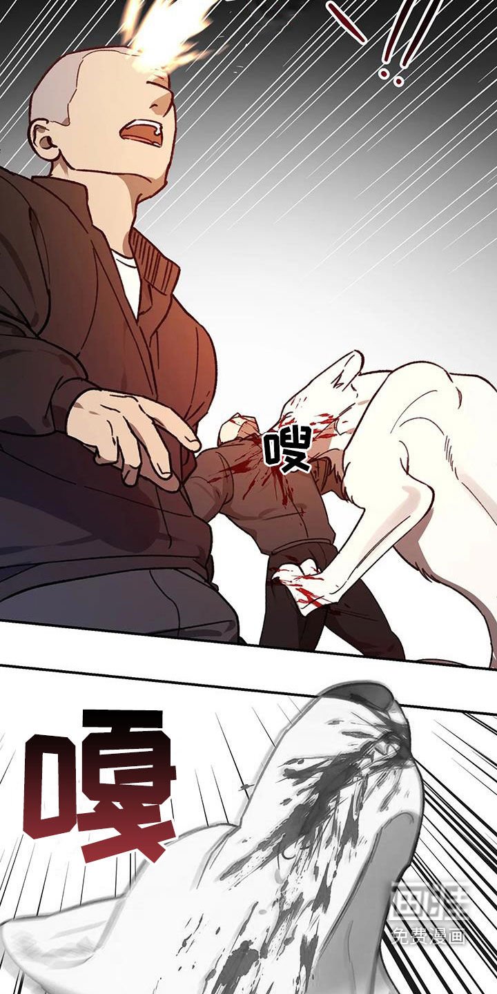 第37章：突围
