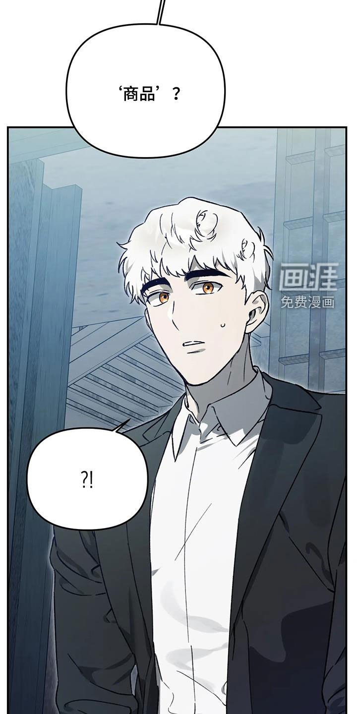 第41章：计划B