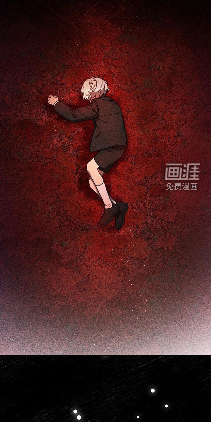 第41章：计划B