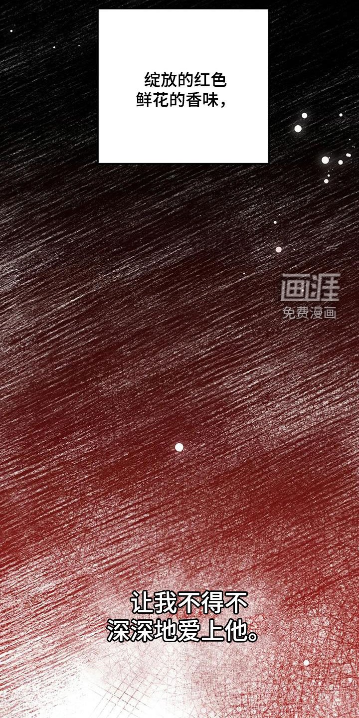 第41章：计划B