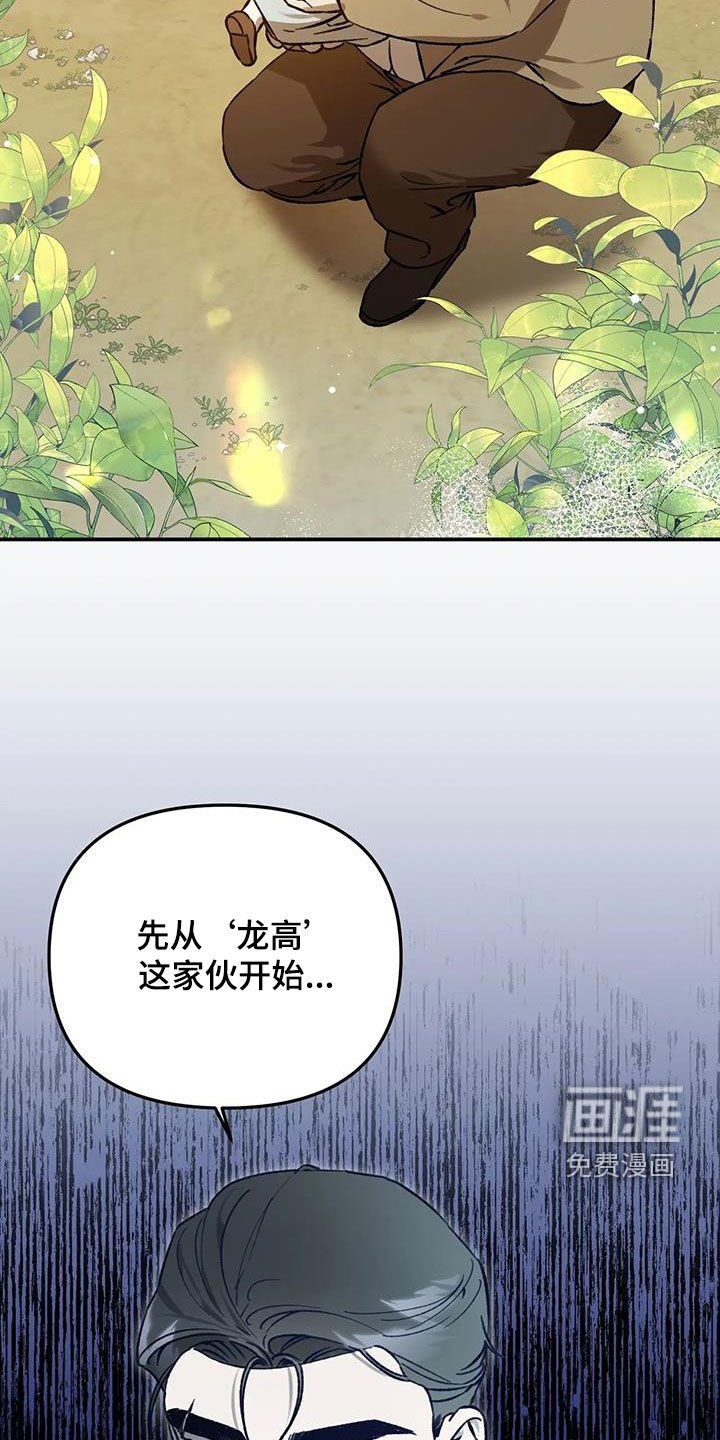 第41章：计划B