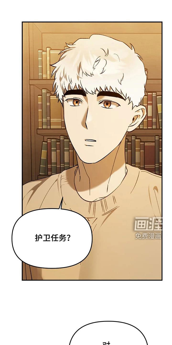 第42章：护卫任务
