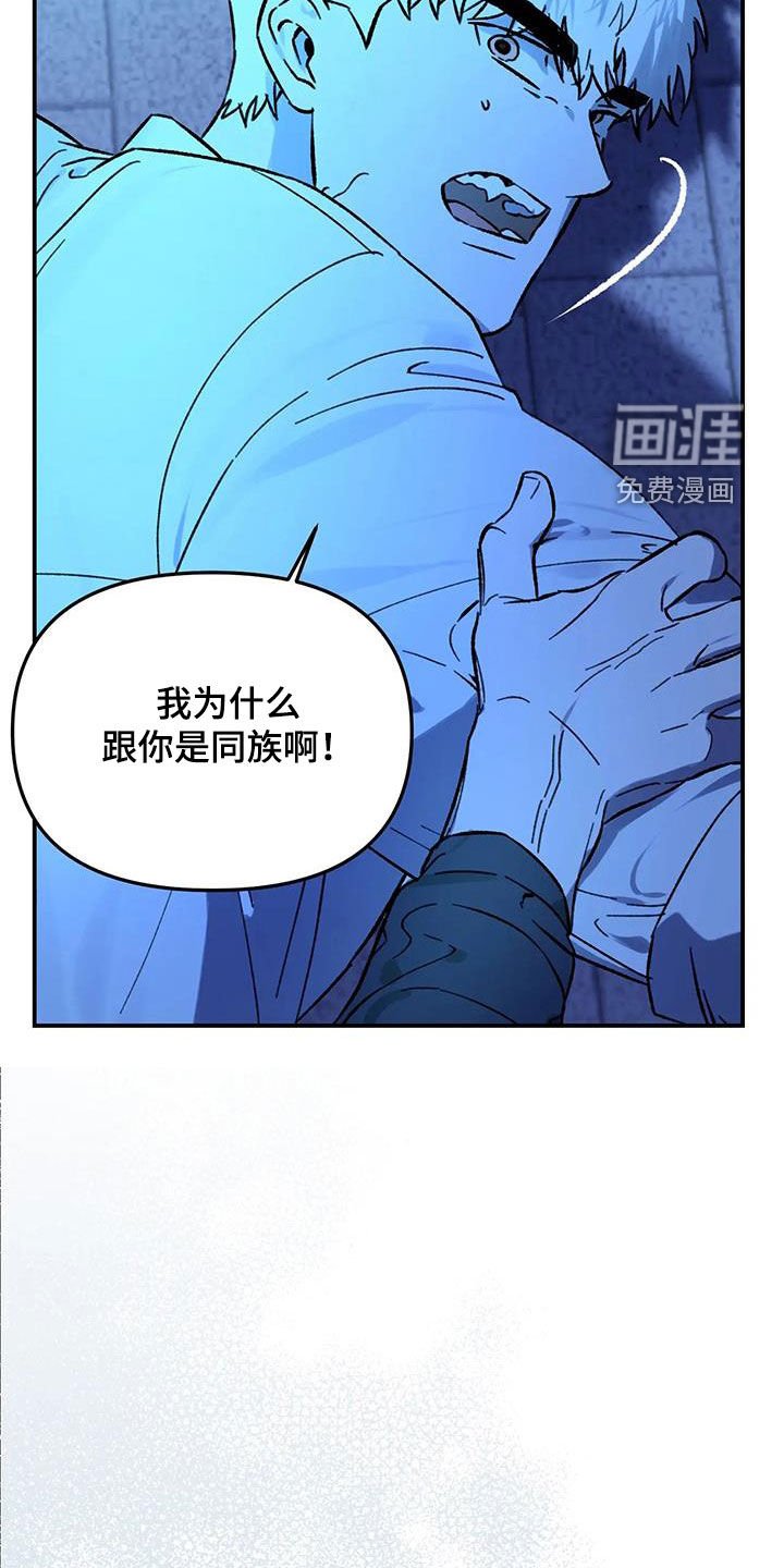 第43章：同族
