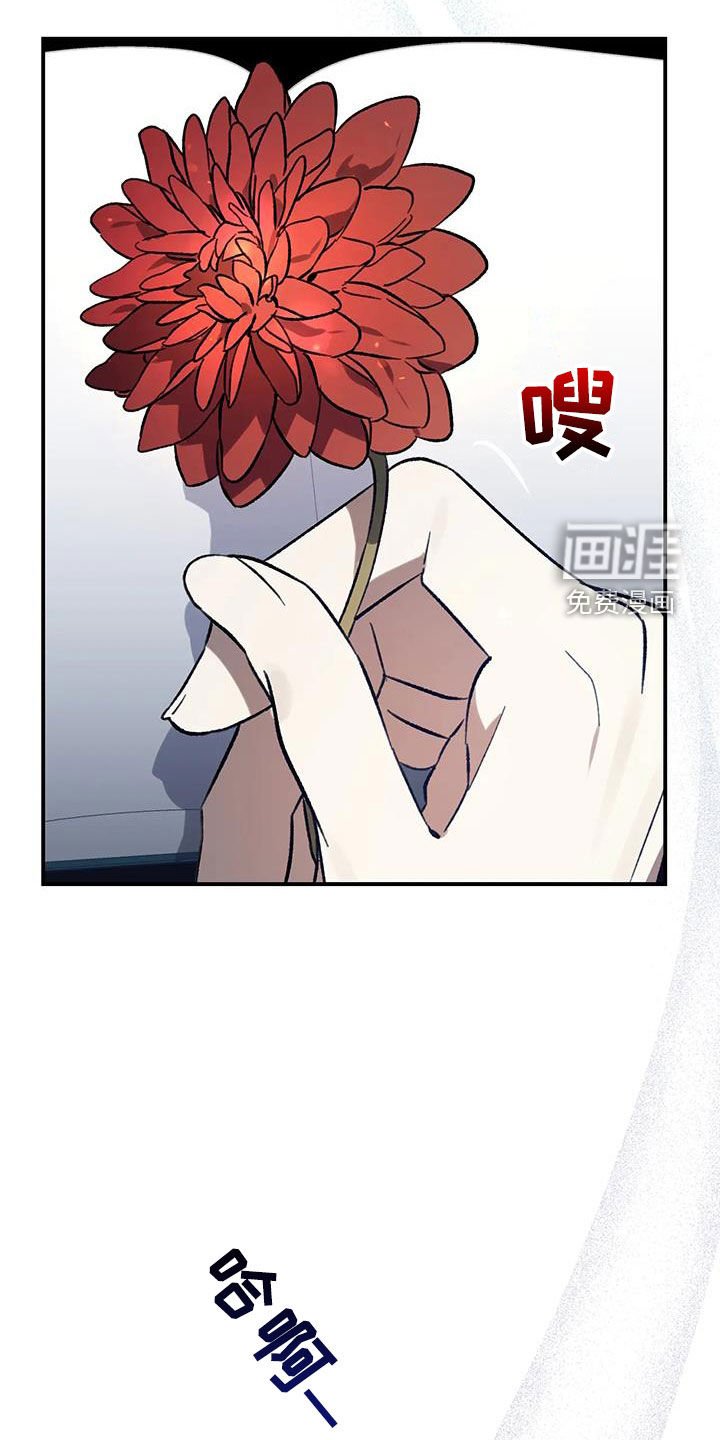 第49章：爱是什么