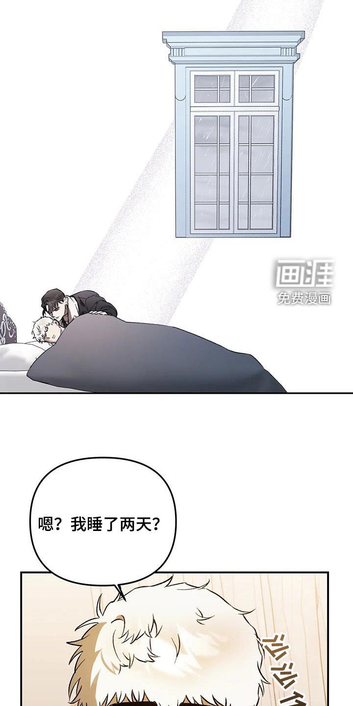 第49章：爱是什么