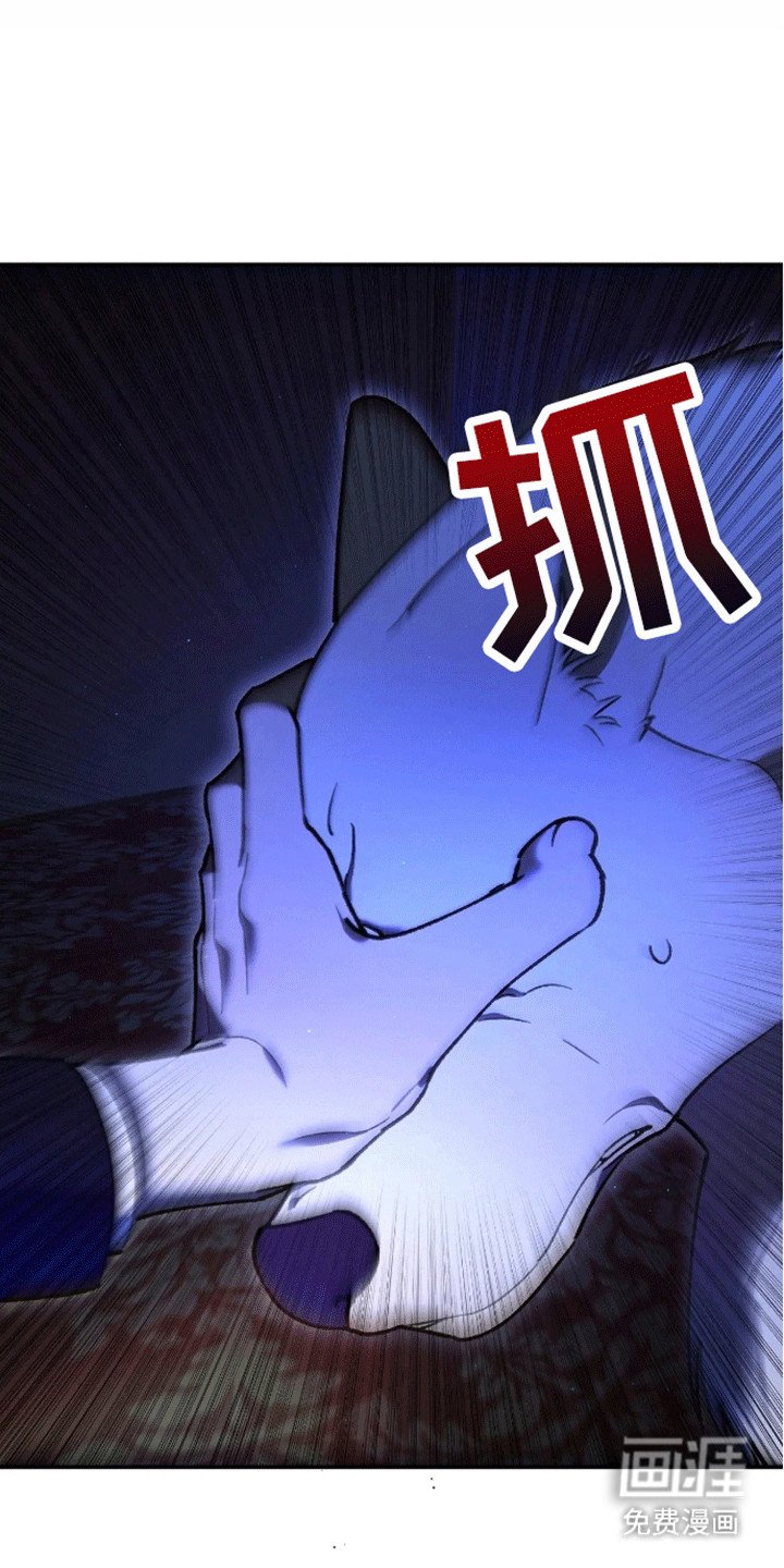 第5章：睡眠搭子