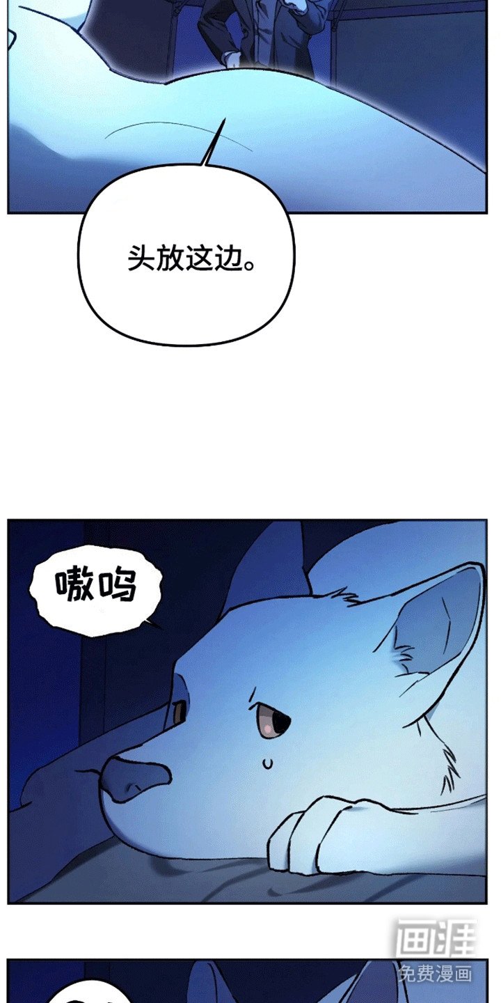 第5章：睡眠搭子