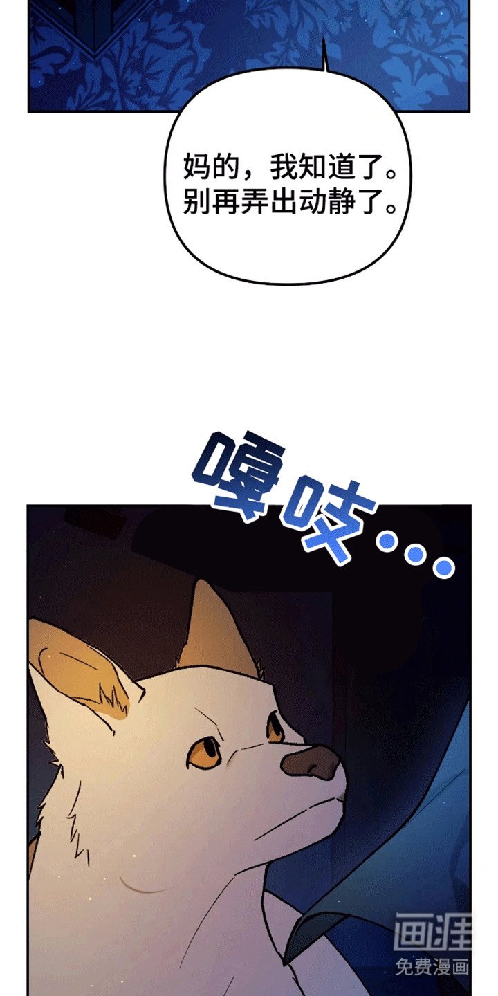 第5章：睡眠搭子