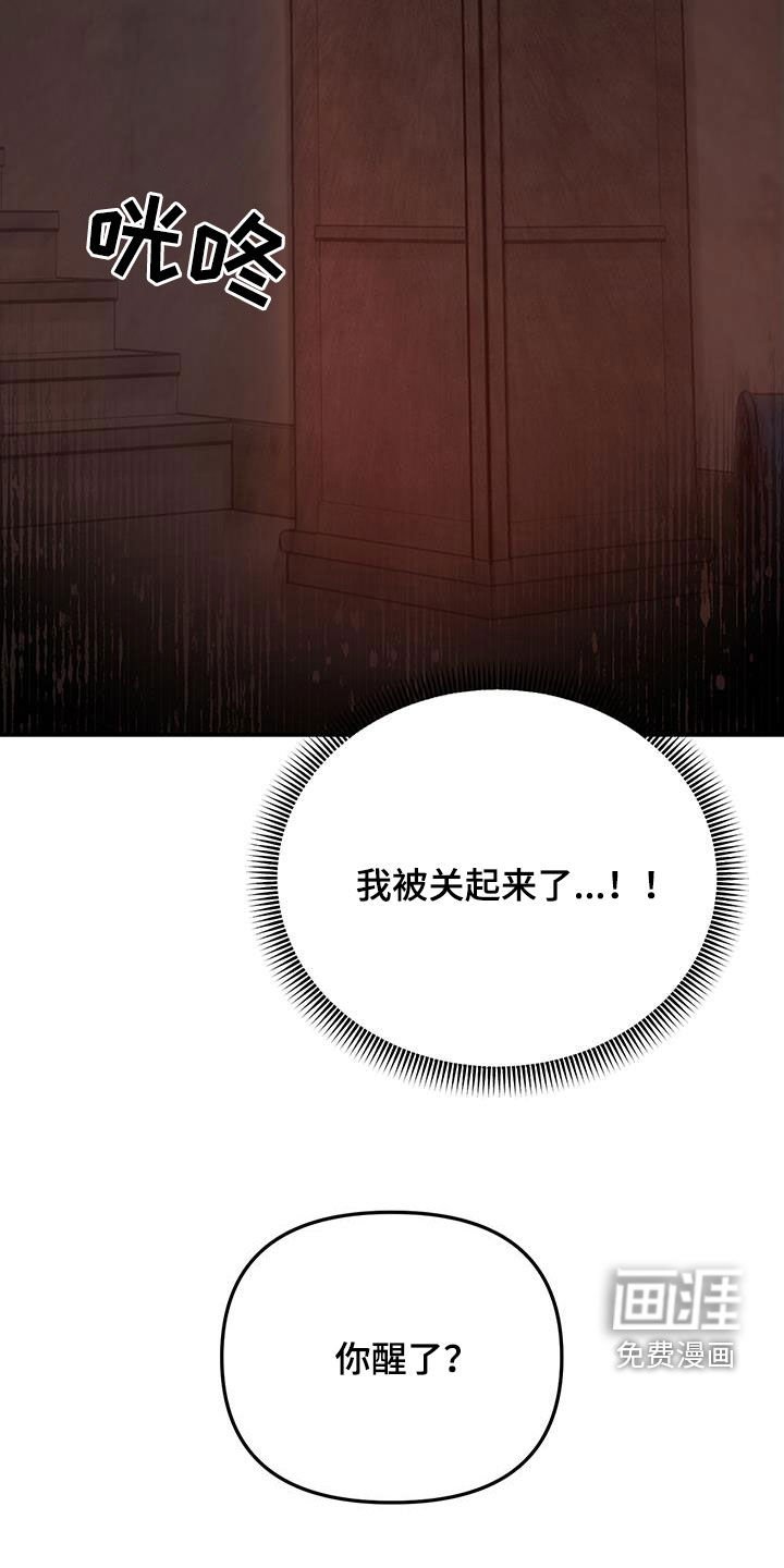 第51章：【第二季】幕后黑手