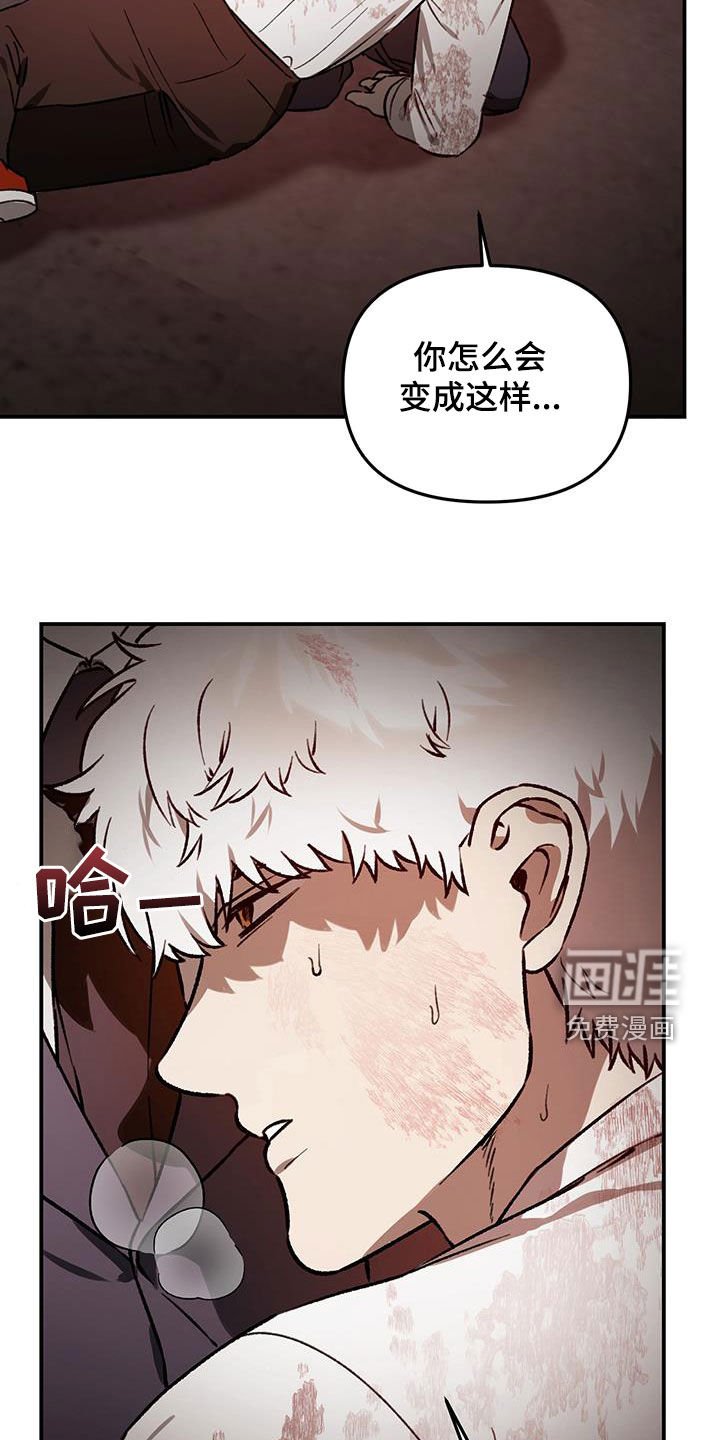 第53章：【第二季】我已经见到你了