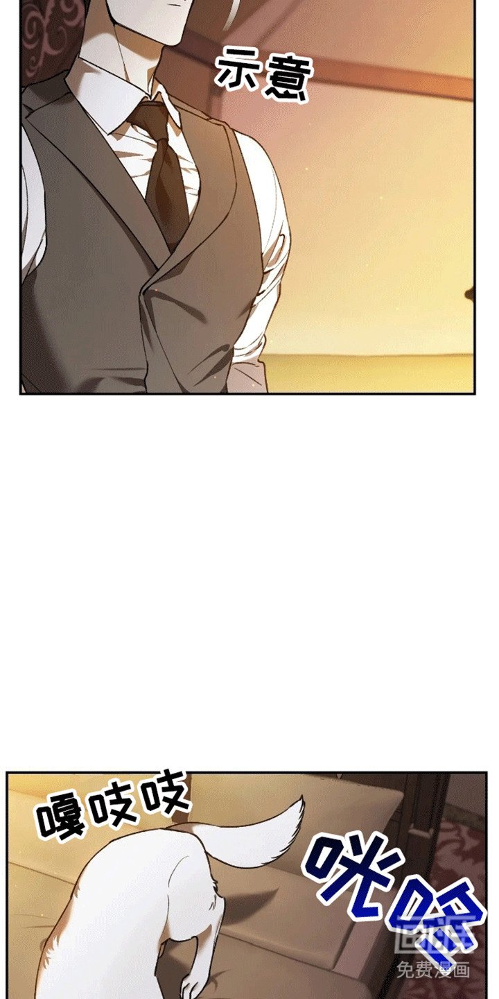 第7章：枕头