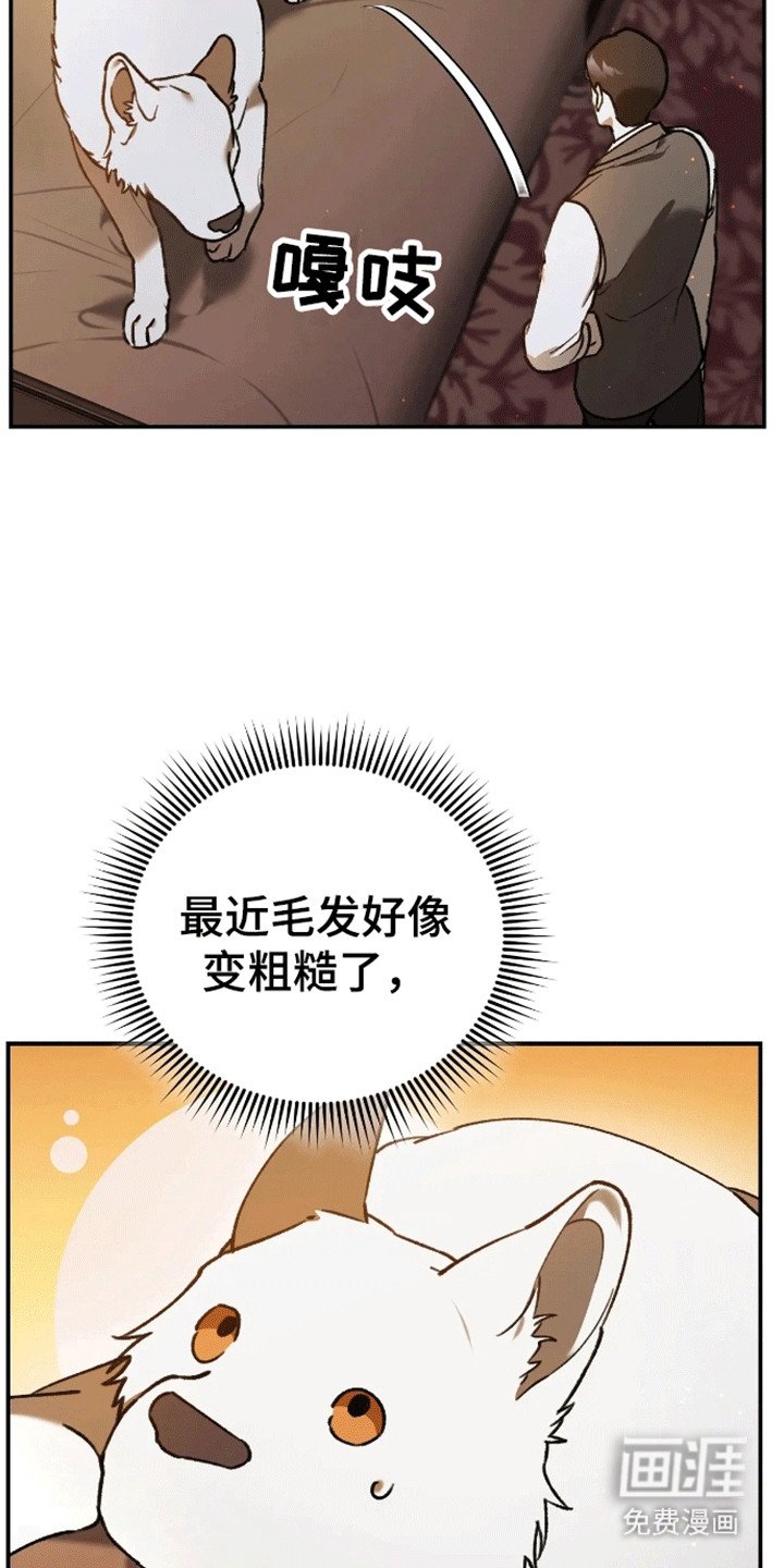 第7章：枕头