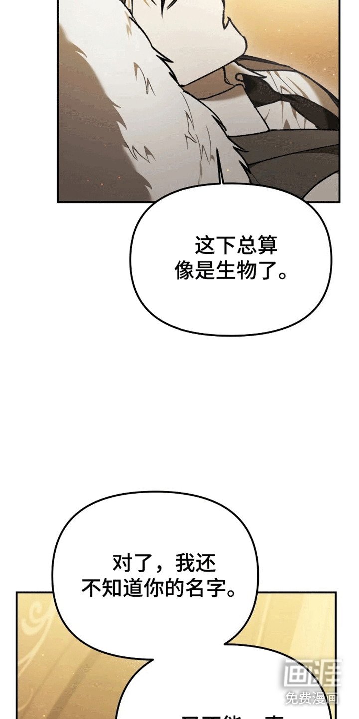 第7章：枕头