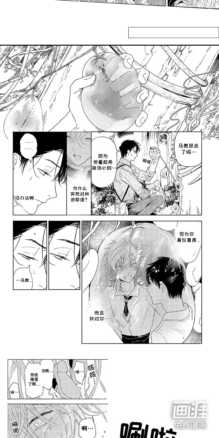 第2章：果实
