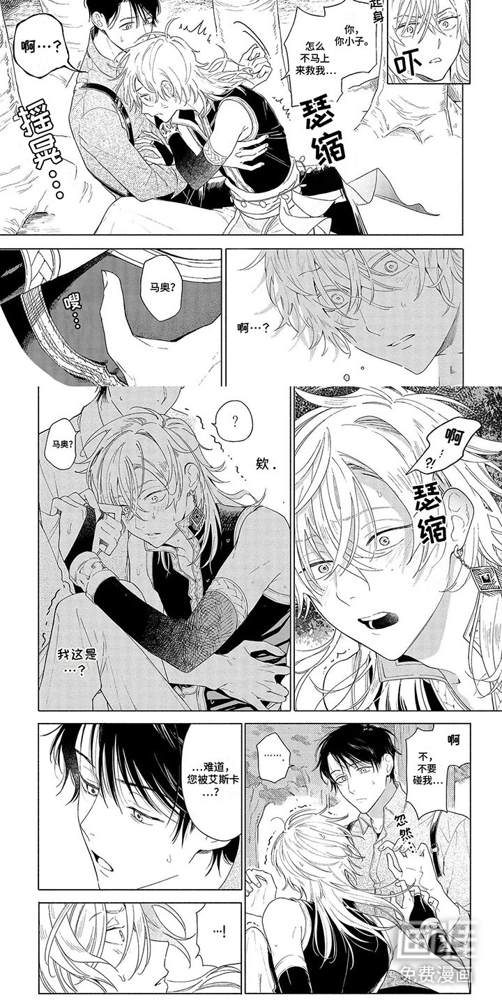 第2章：果实