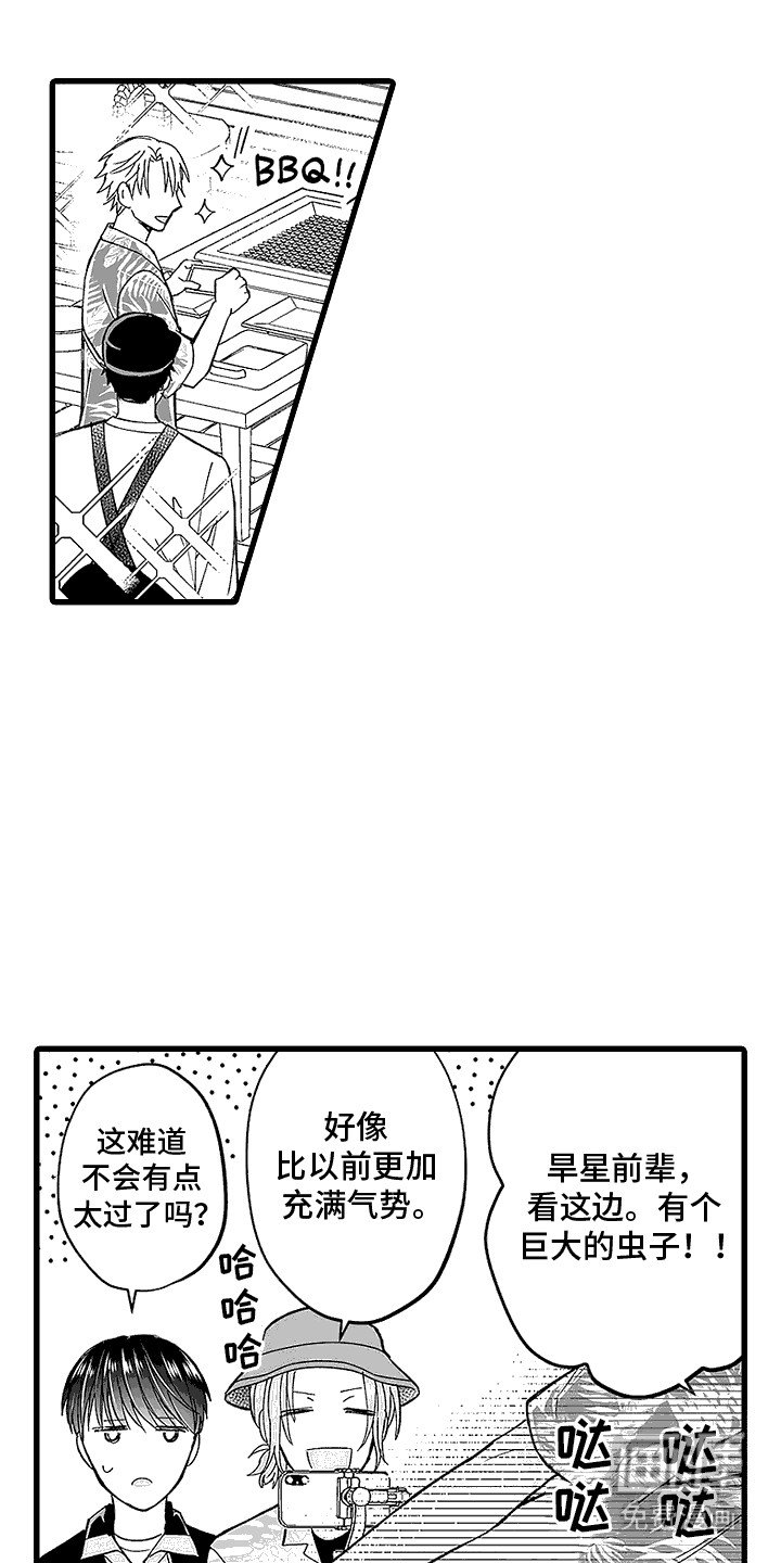 第11章：暑期野营