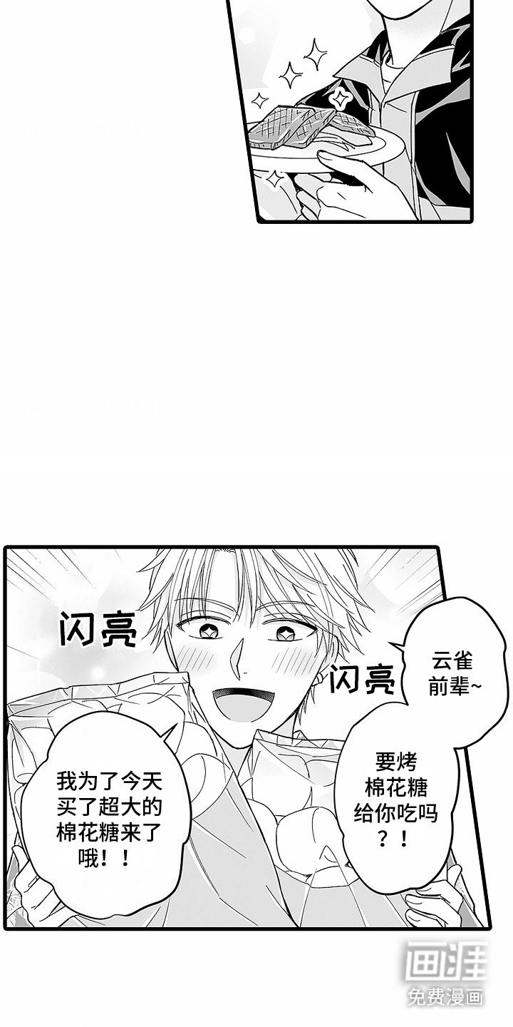第14章：装傻