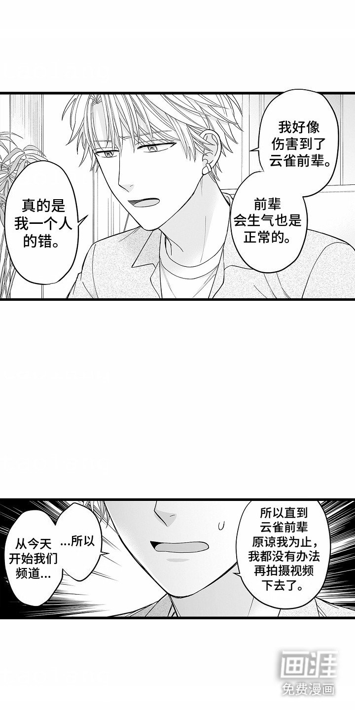 第18章：直播告白