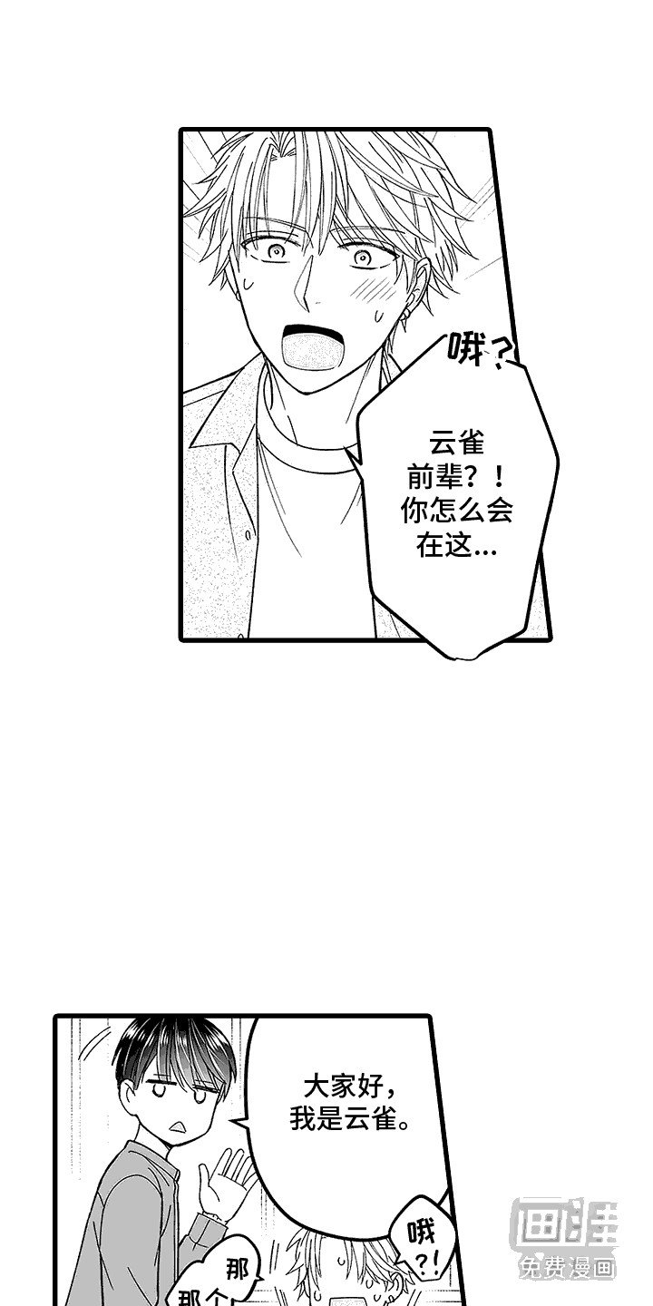 第18章：直播告白
