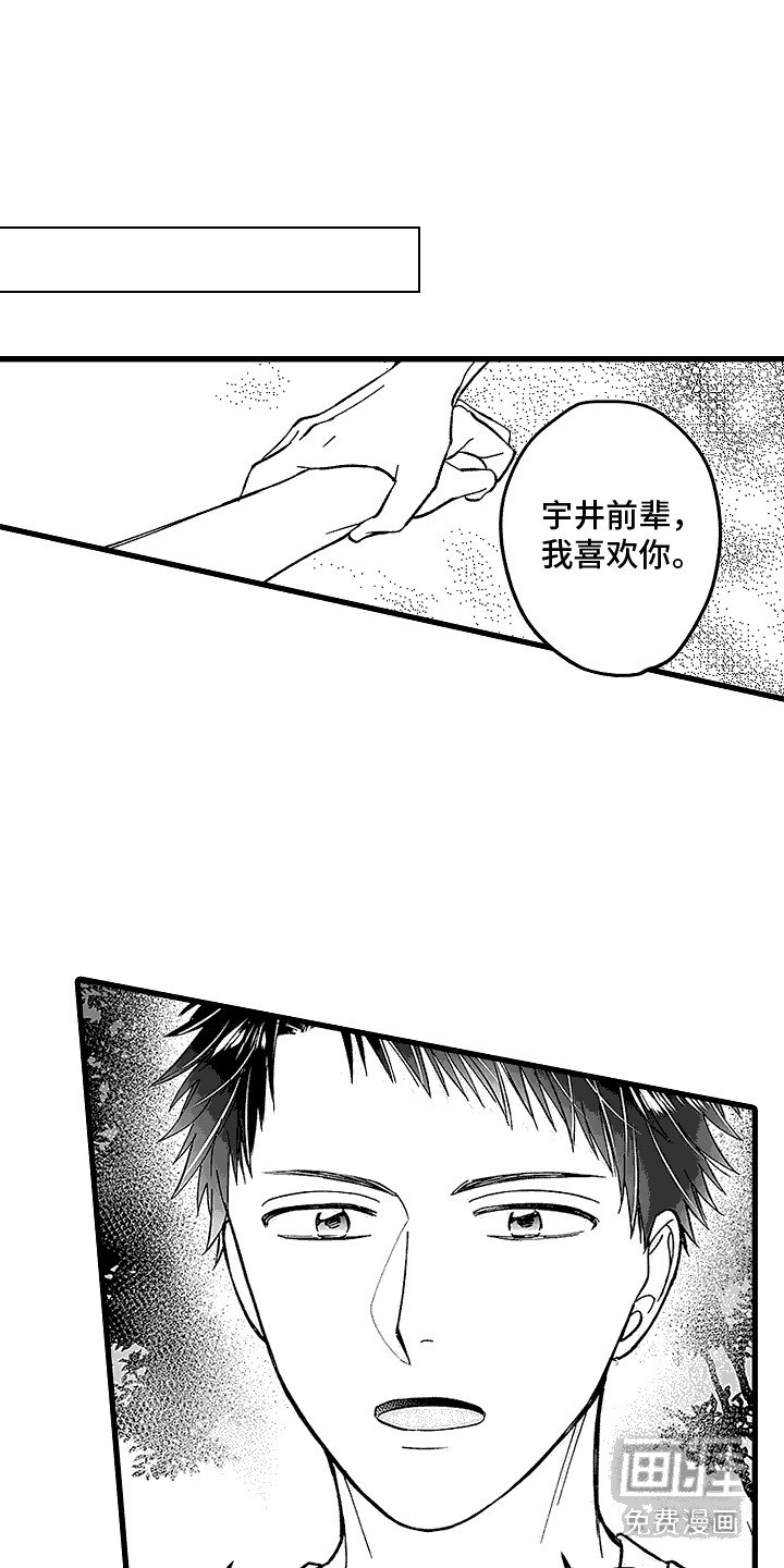 第20章：挡箭牌