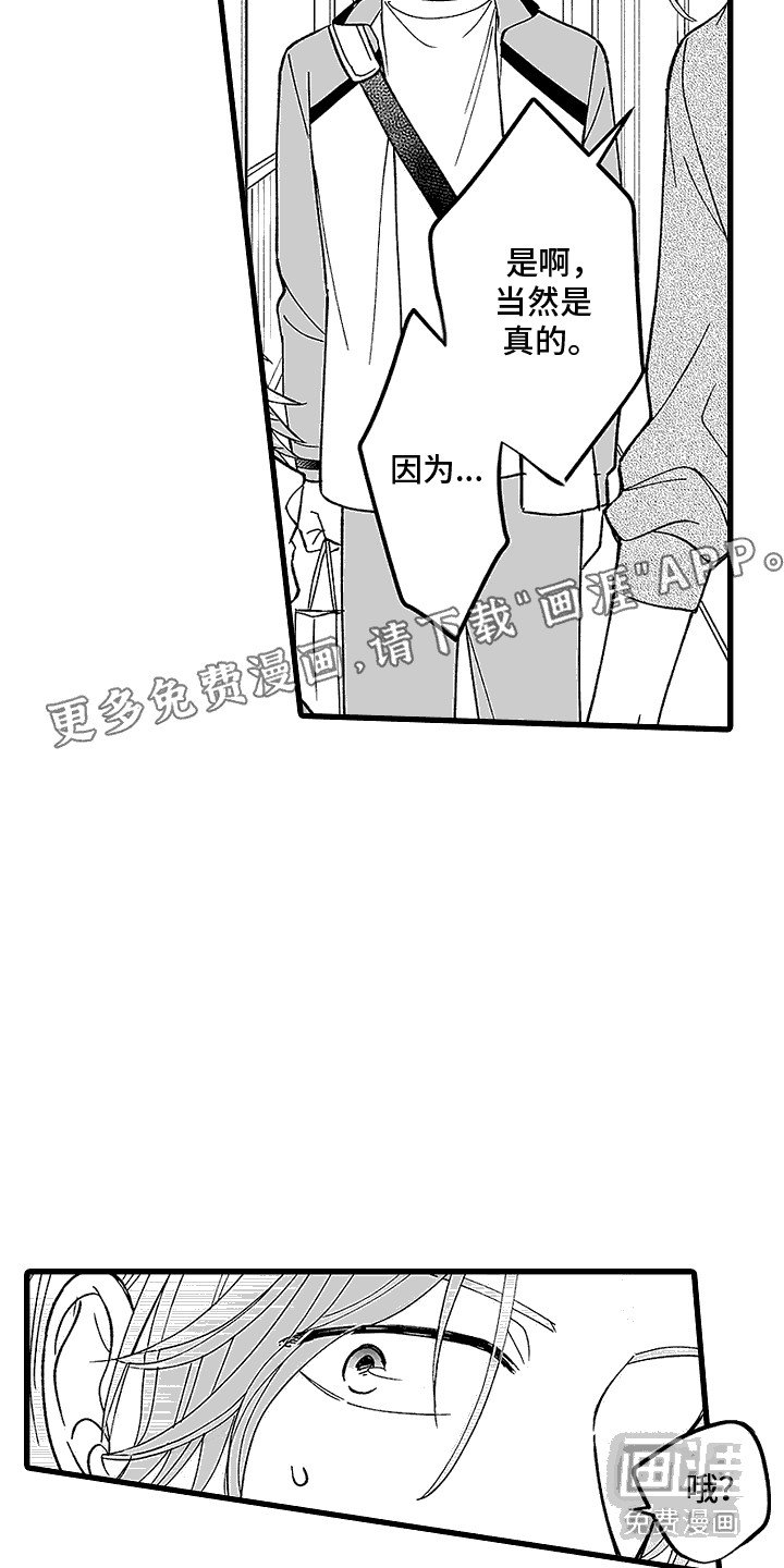 第20章：挡箭牌