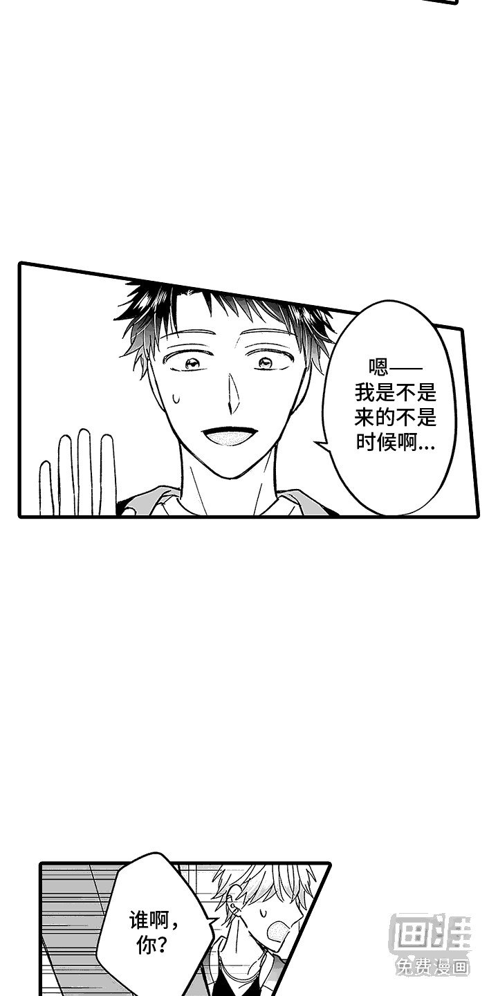 第20章：挡箭牌