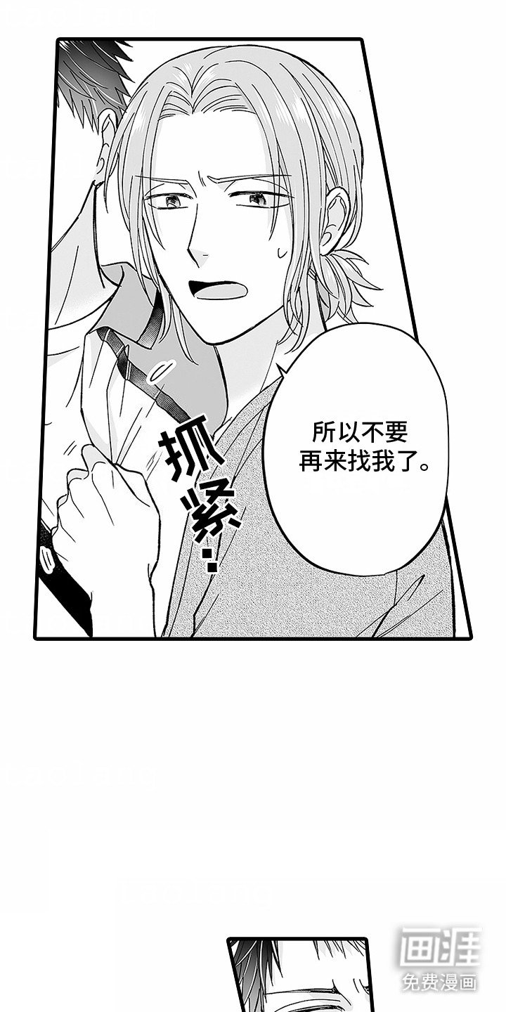 第20章：挡箭牌