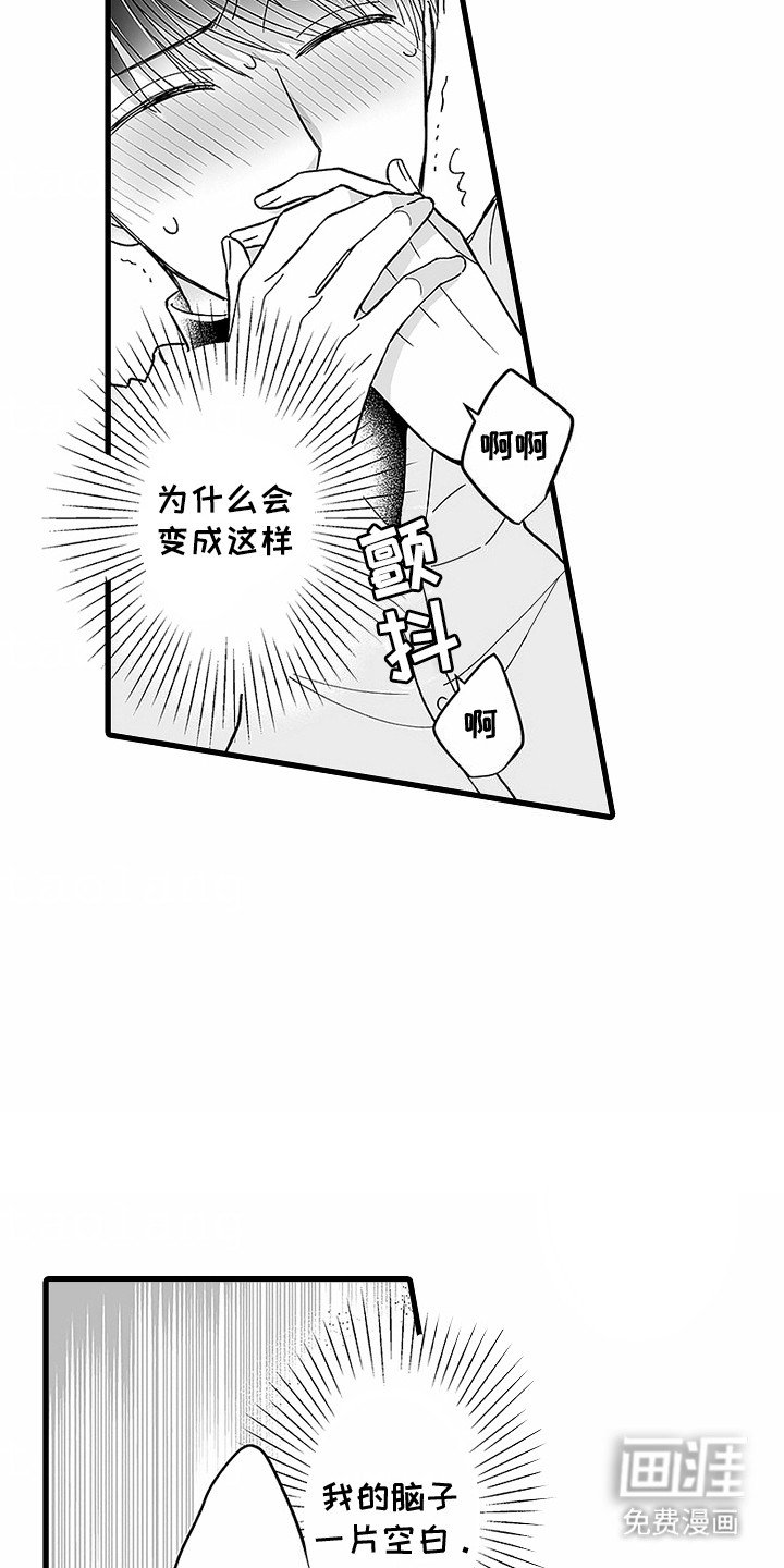 第6章：交给我吧