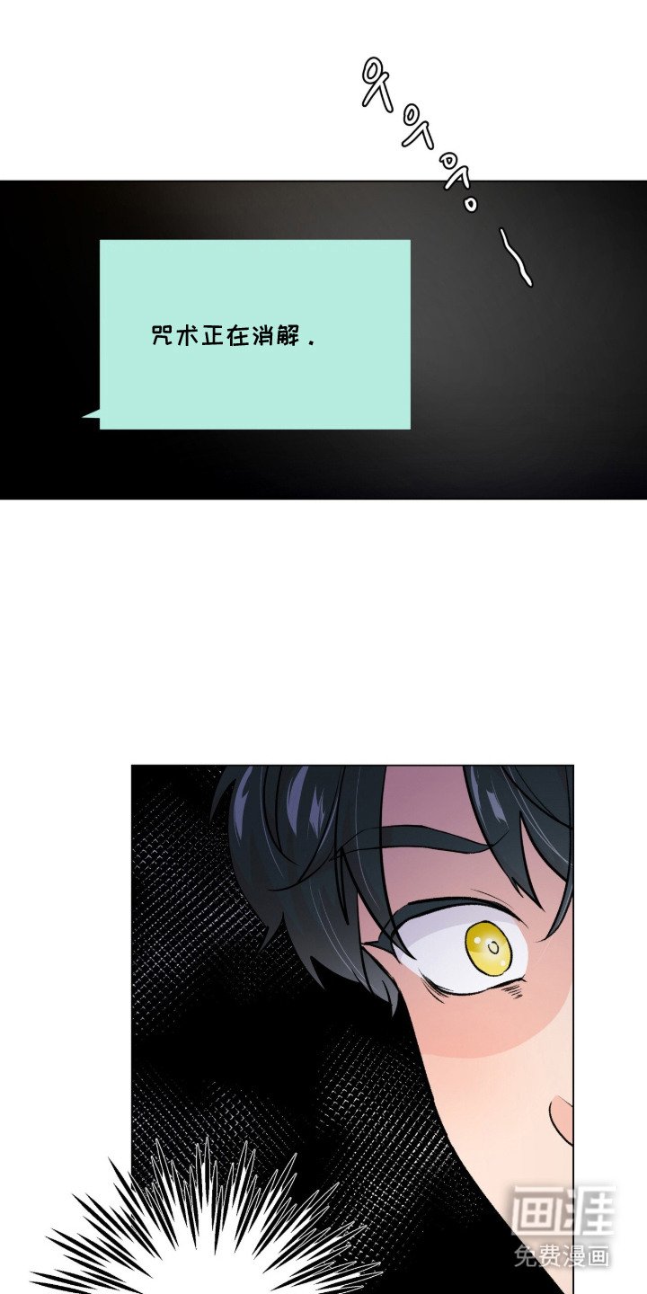 第1章：眼睛