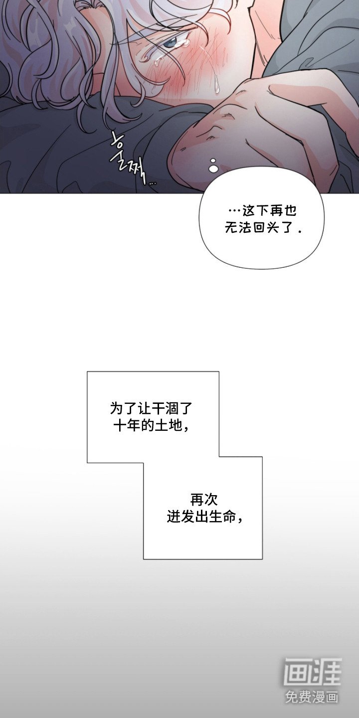 第11章：浇灌
