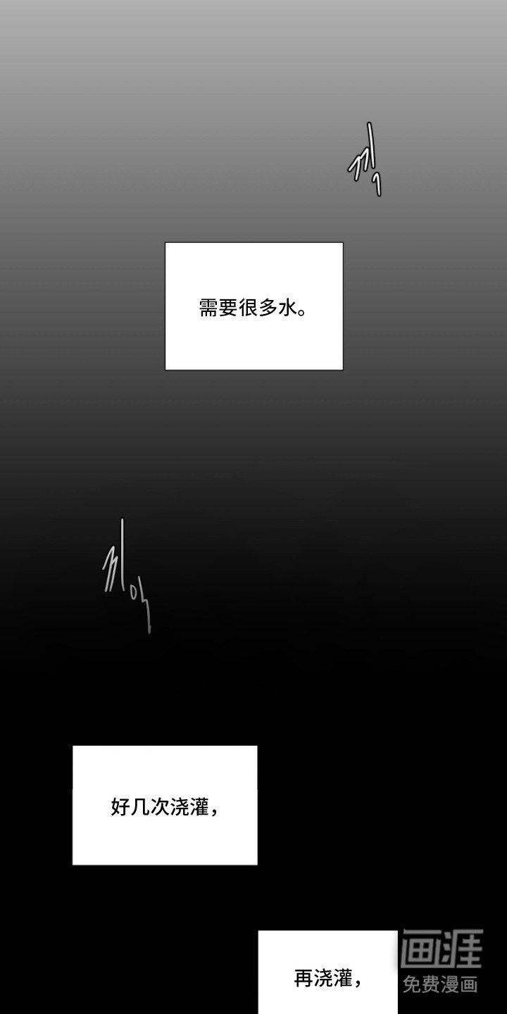 第11章：浇灌