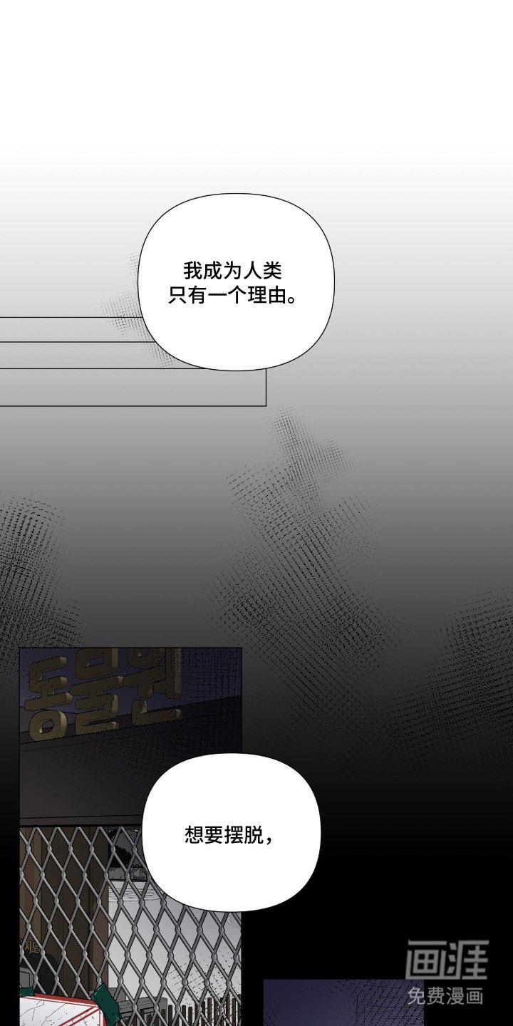 第14章：人生的意义