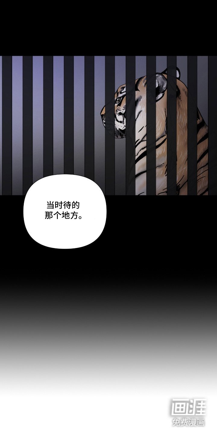 第14章：人生的意义