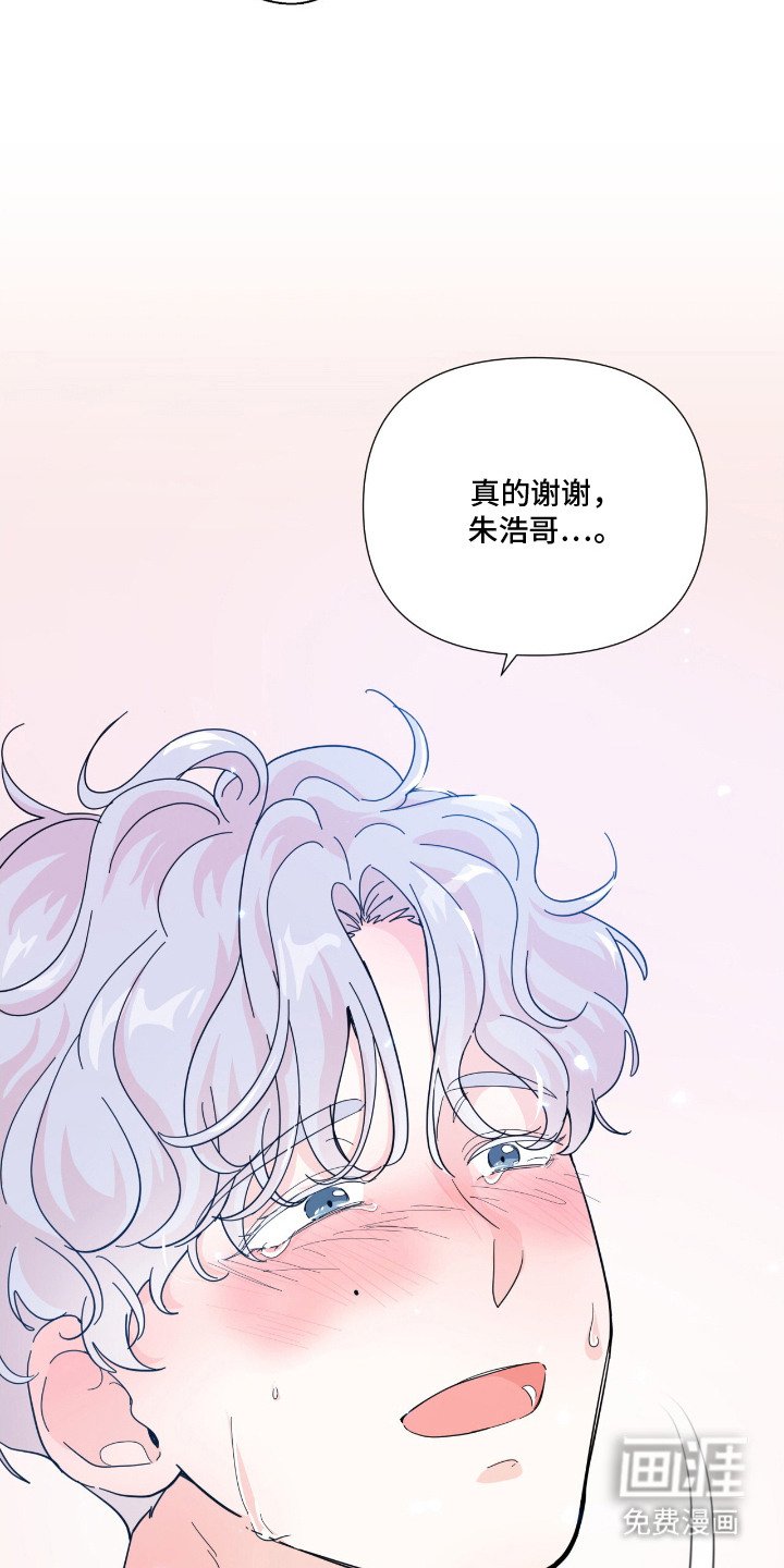 第14章：人生的意义