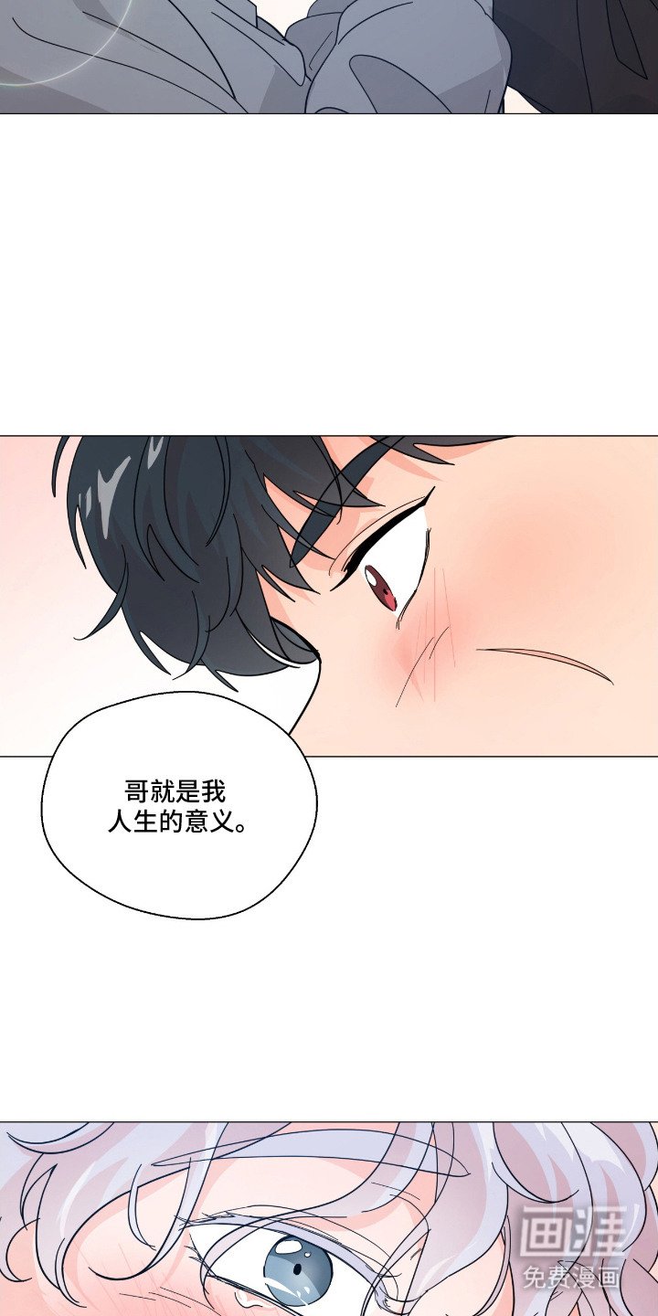 第14章：人生的意义