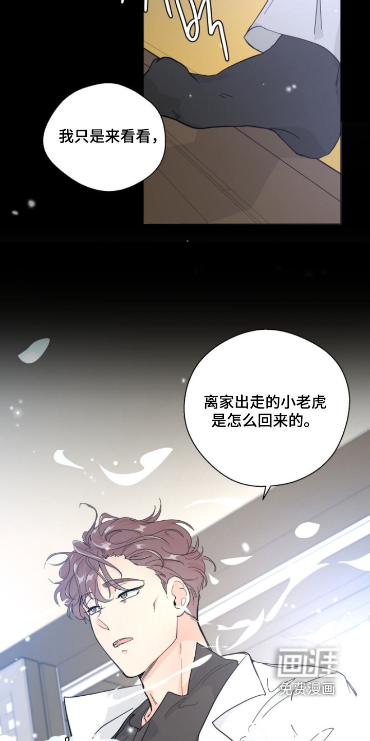 第15章：稳住了
