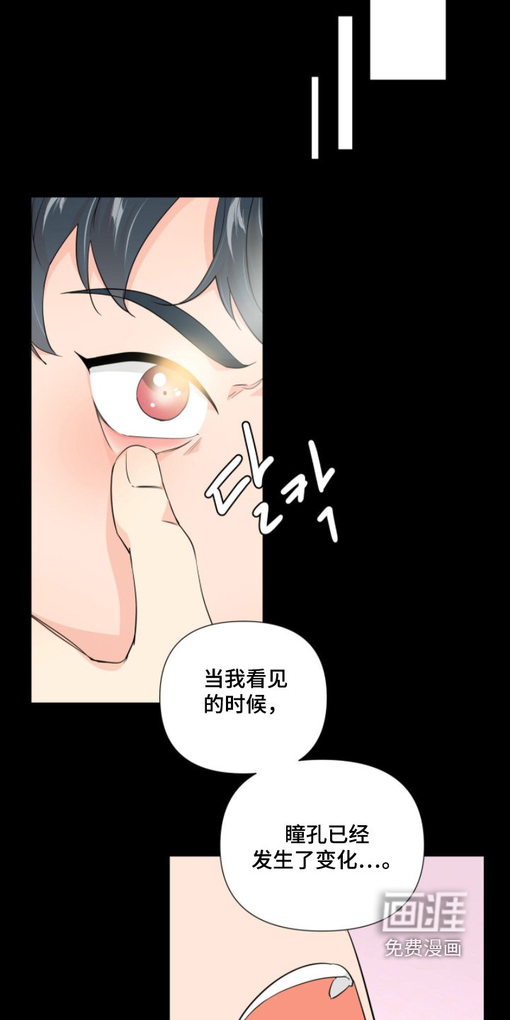 第15章：稳住了