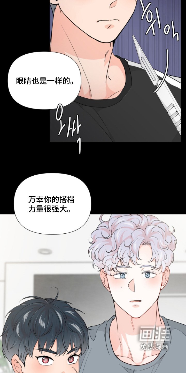 第15章：稳住了
