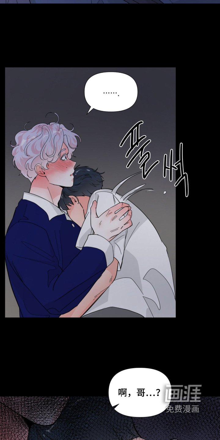 第17章：牙齿