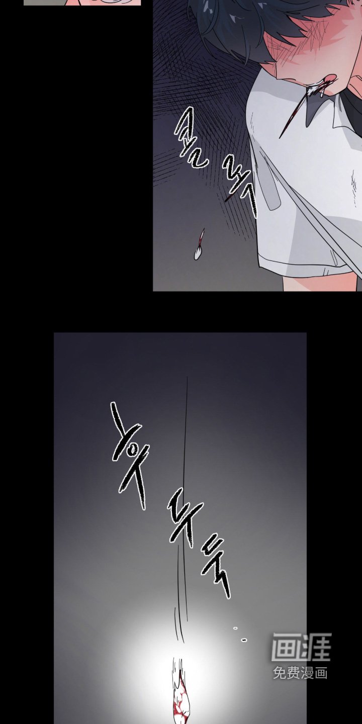 第17章：牙齿