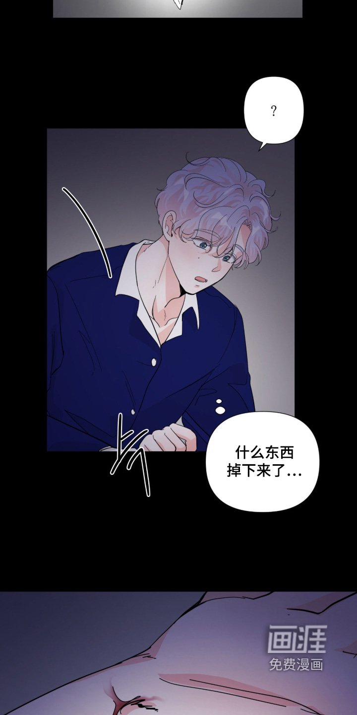 第17章：牙齿