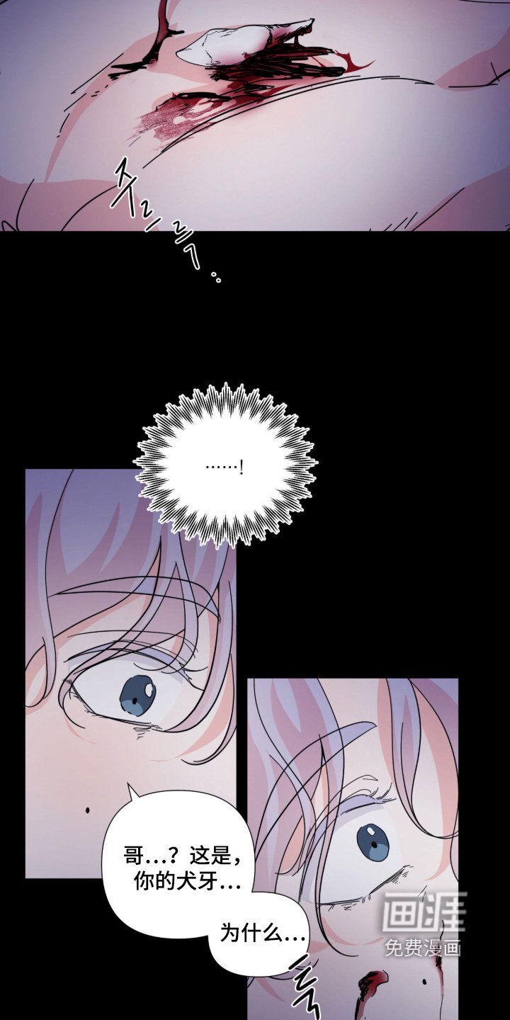 第17章：牙齿