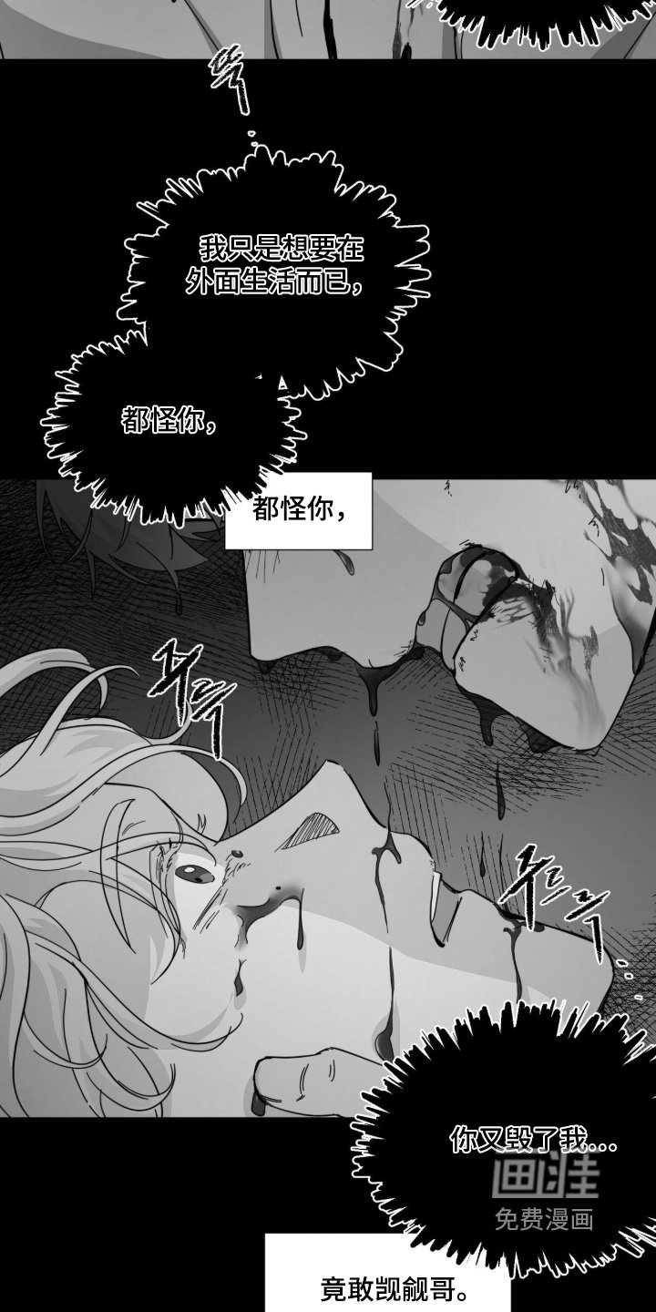 第17章：牙齿